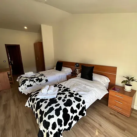 Hotel Bicis & Vacas *