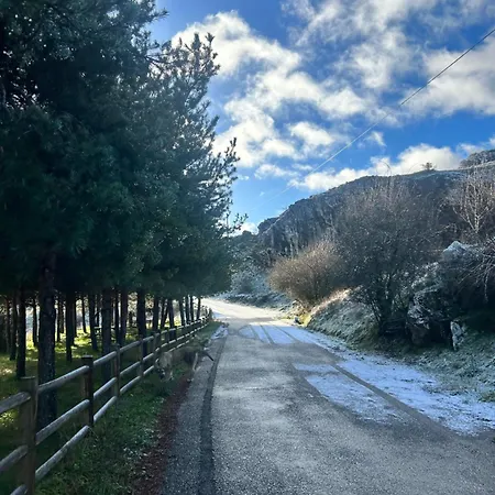 Bicis & Vacas Hotel *