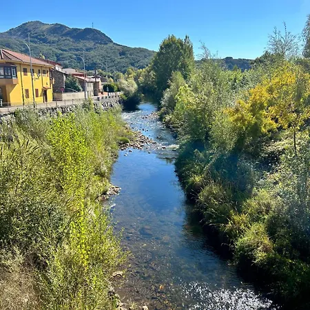 Hotel Bicis & Vacas